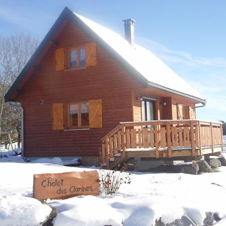 Chalet Des Clarines Saint-Genès-Champespe Eksteriør billede